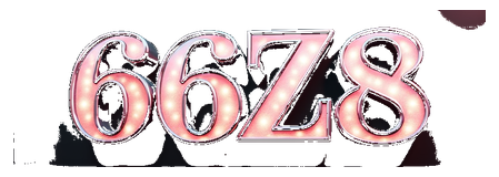66zz8 logo